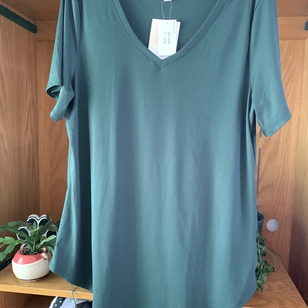 LuLaRoe Short Sleeve V-Neck Top in Teal